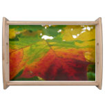 Colors of the Maple Leaf Autumn Nature Photography Serving Tray
