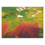 Colors of the Maple Leaf Autumn Nature Photography Tissue Paper
