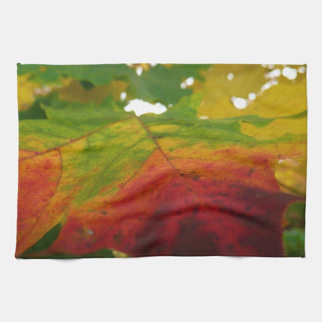 Colors of the Maple Leaf Autumn Nature Photography Towel (Horizontal)