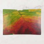 Colors of the Maple Leaf Autumn Nature Photography Trinket Tray