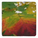 Colors of the Maple Leaf Autumn Nature Photography Trivet