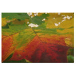 Colors of the Maple Leaf Autumn Nature Photography Wood Poster