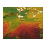 Colors of the Maple Leaf Autumn Nature Photography Wood Wall Art