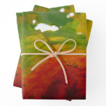 Colors of the Maple Leaf Autumn Nature Photography Wrapping Paper Sheets