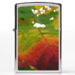 Colors of the Maple Leaf Autumn Nature Photography Zippo Lighter