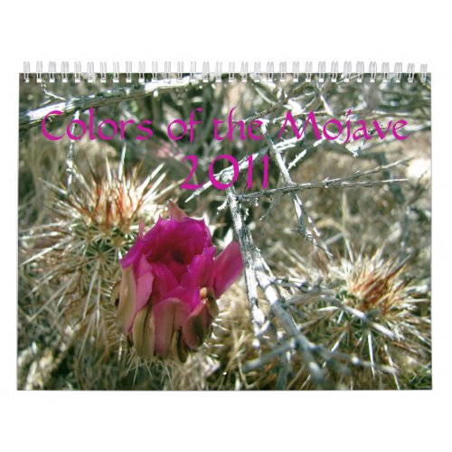 Colors of the Mojave 2011 Calendar
