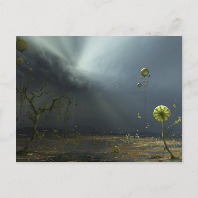 Colors of the Storm Postcard (Front)