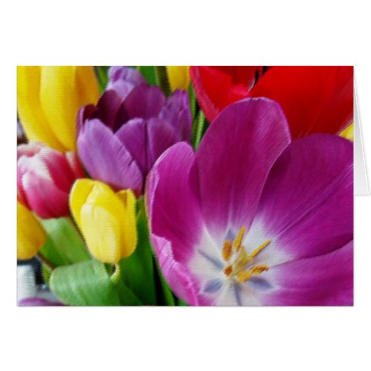 colors of tulips cards (Front Horizontal)