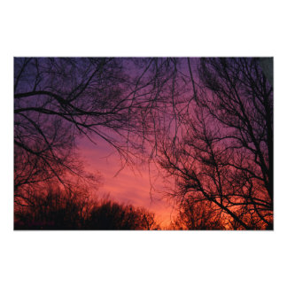 "Colors" Photo Print