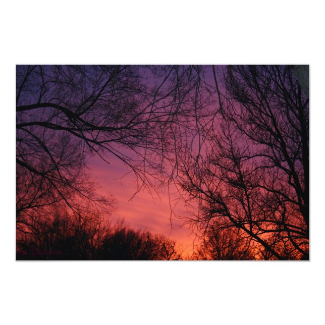 "Colors" Photo Print (Front)