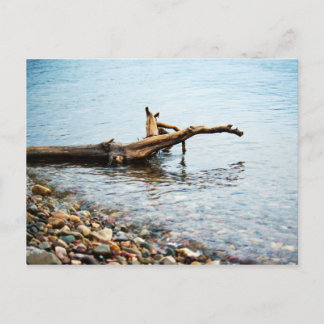 Colors Postcard