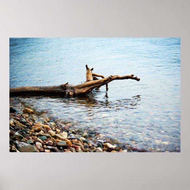 Colors Print (Front)