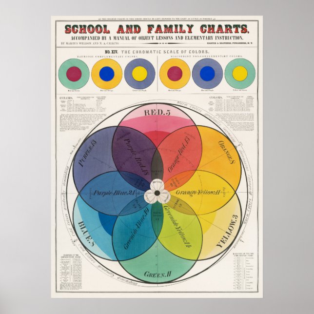 Colors Scale Poster (Front)