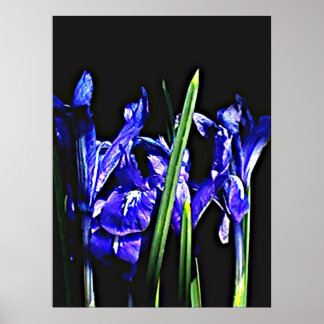 Colossal 72" x 52" and 52" x 72" Giclée Art Poster