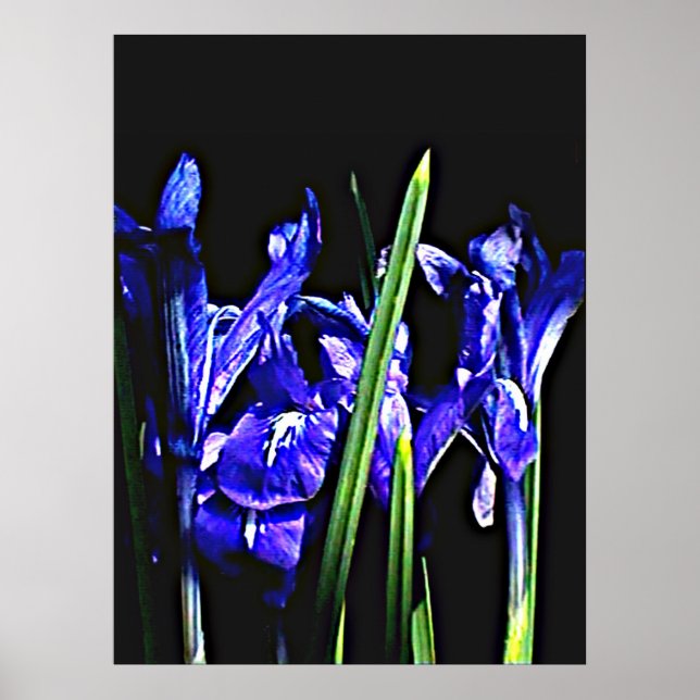 Colossal 72" x 52" and 52" x 72" Giclée Art Poster (Front)