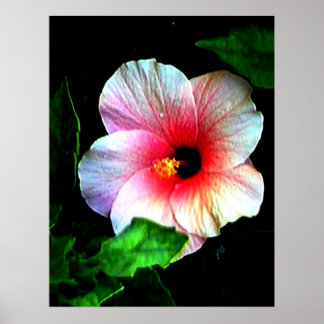 Colossal 72" x 52" and 52" x 72" Giclée Art Poster