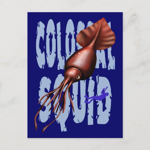 Colossal Squid Postcards