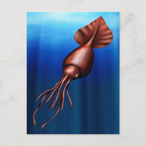 Colossal Squid Postcards