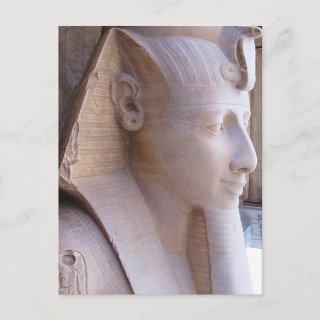 Colossal statue of Ramesses II at Memphis, Egypt Postcard (Front)