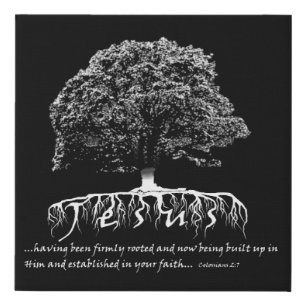 Colossians 2:7 Rooted in Jesus Faux Canvas Print