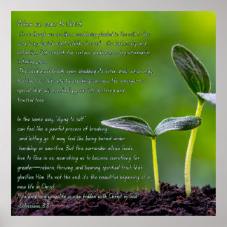 Colossians 3:3 graphic with a garden sprout poster