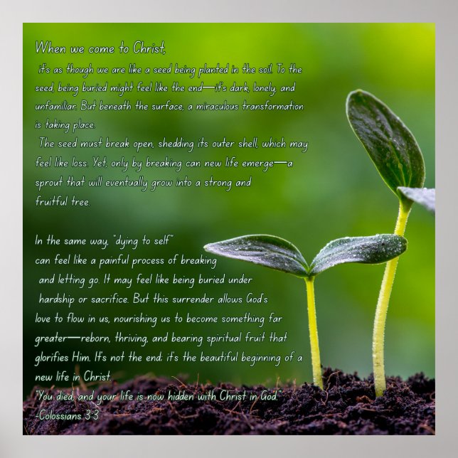 Colossians 3:3 graphic with a garden sprout poster (Front)