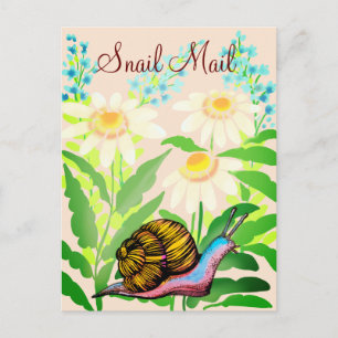 colouful snail mail postcard