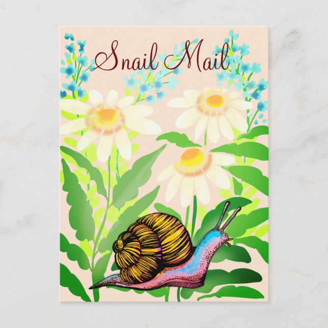 colouful snail mail postcard (Front)