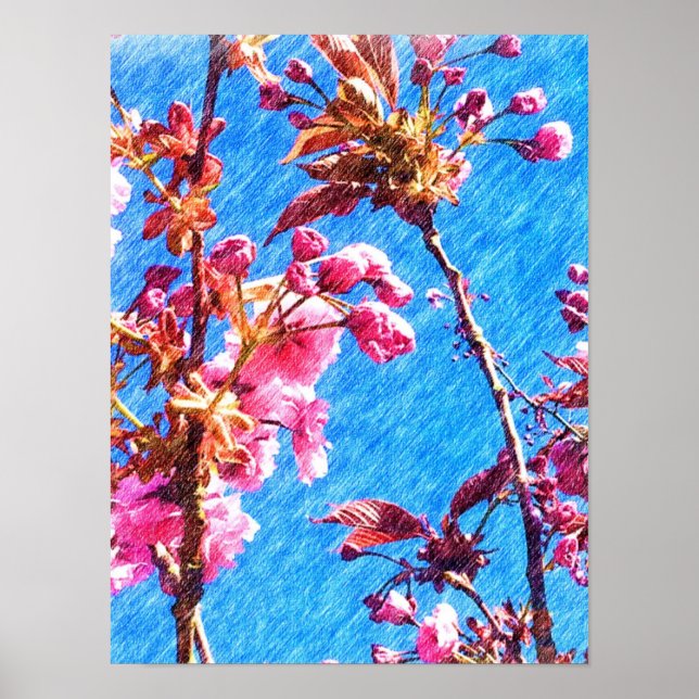 Colour Pencil Drawing - Spring Cherry Blossoms Poster (Front)