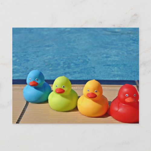 Coloured Rubber Ducks Postcard