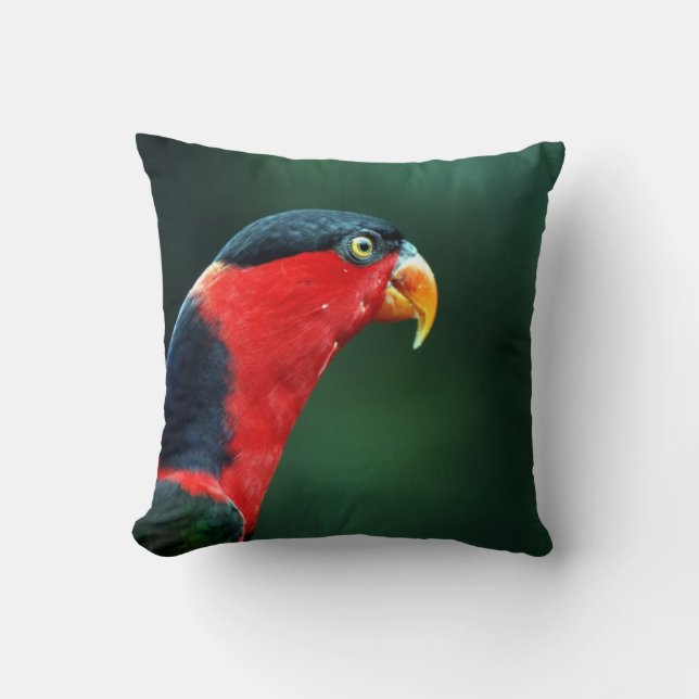Colourful Bird Throw Pillow (Front)