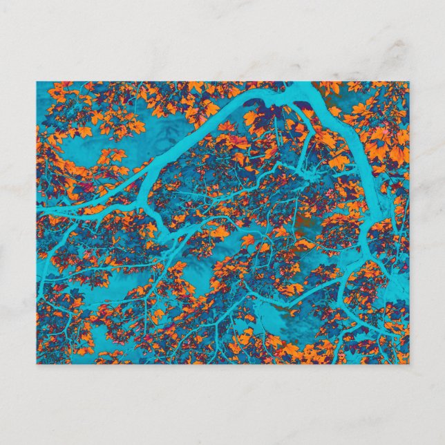 Colourful blue and orange trees postcard (Front)