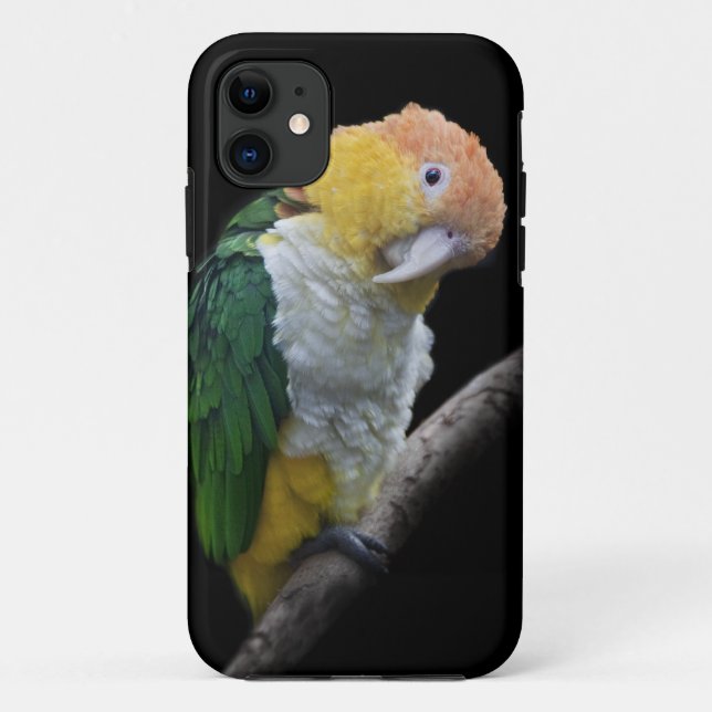 Colourful Cutie iPhone 5 Case-Mate Case (Back)