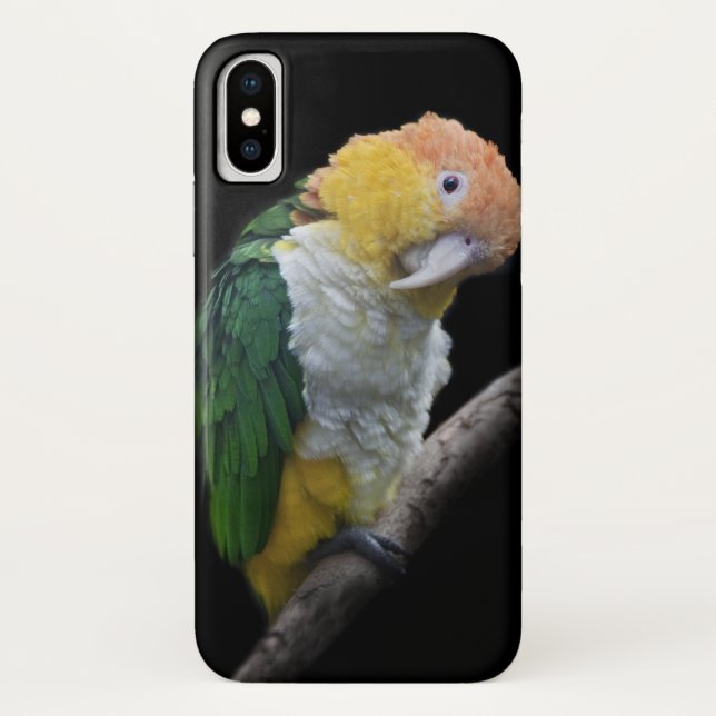 Colourful Cutie iPhone X Case (Back)