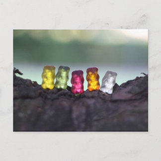 Colourful Diversity Gummy Bears Photography Postcard