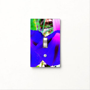 Colourful Double Light Switch Covers