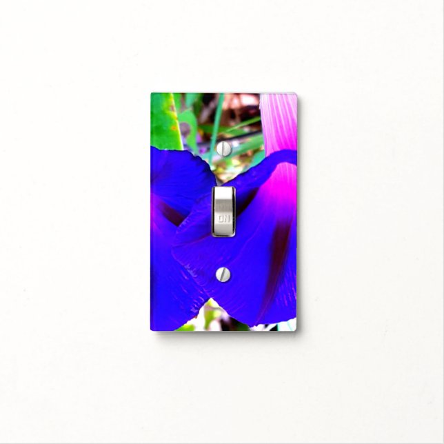 Colourful Double Light Switch Covers (In Situ)
