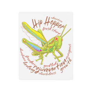 Colourful Grasshopper Metal Print