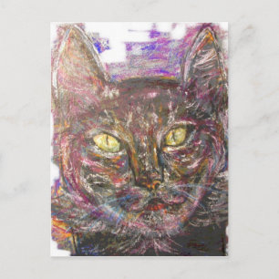 colourful greek cat postcard