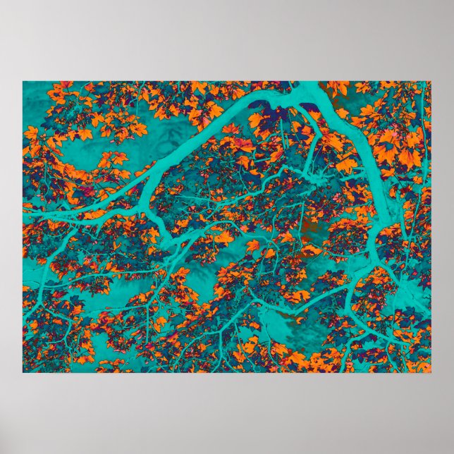 Colourful green and orange trees poster (Front)