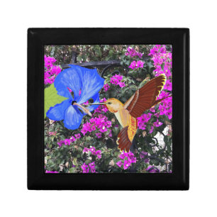 Colourful Hummingbird Gift Box