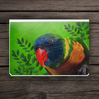 Colourful Macaw Parrot Red Beak Green Leaves HP Laptop Skin