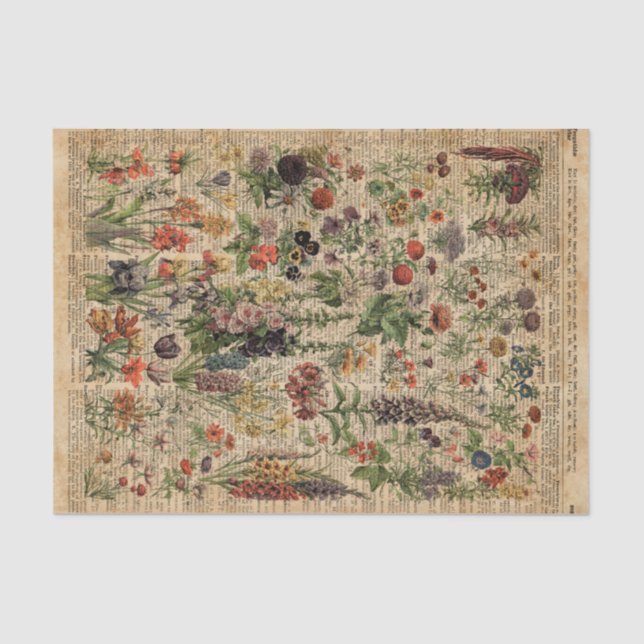Colourful Meadow Flowers Herbs Dictionary Art Tissue Paper (Front)