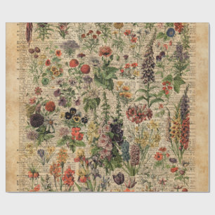 Colourful Meadow Flowers Herbs Dictionary Art Wrapping Paper