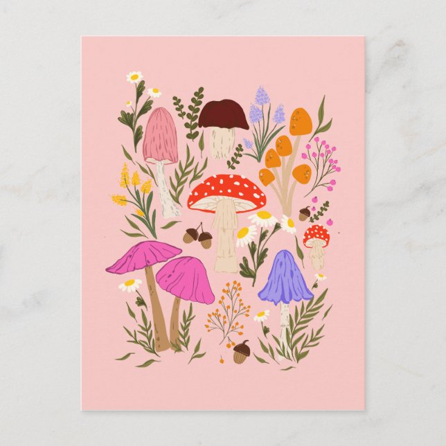 Colourful mushrooms and wildflowers illustration postcard (Front)