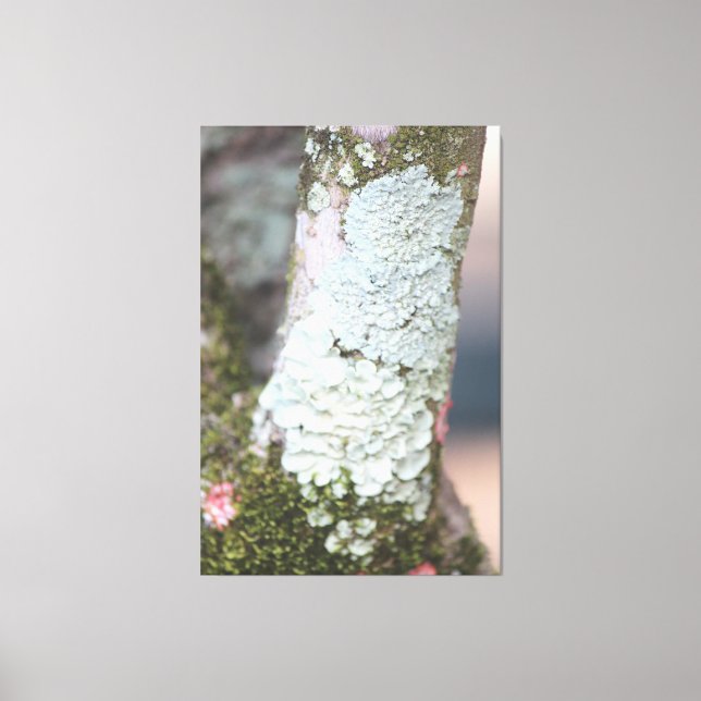Colourful Nature Canvas Print (Front)