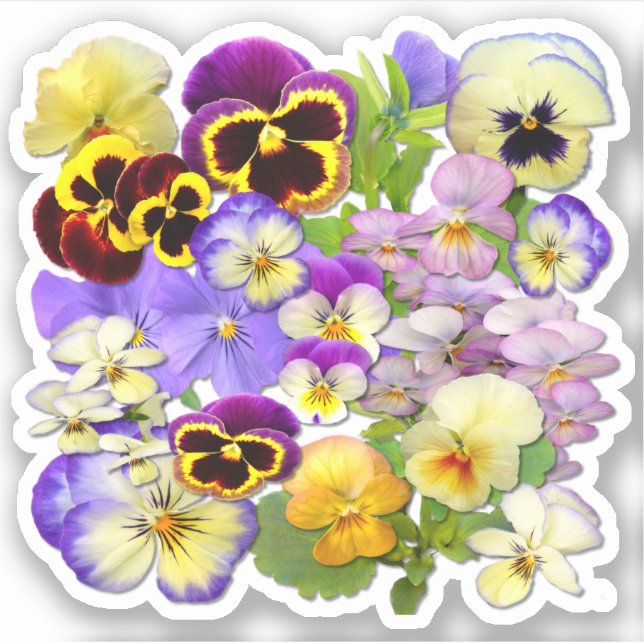 Colourful Pansies Contour Sticker (Front)