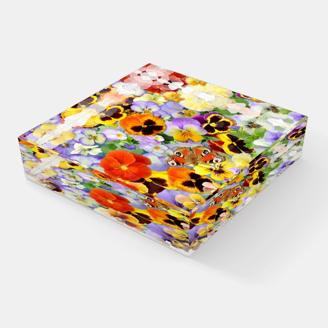 Colourful Pansies Paperweight (Angled)