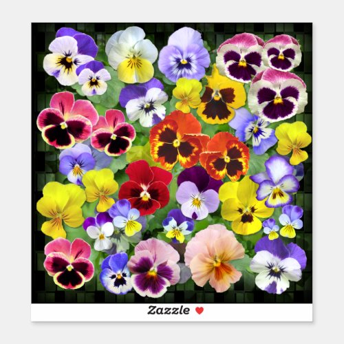 Colourful Pansy Display Contour Sticker