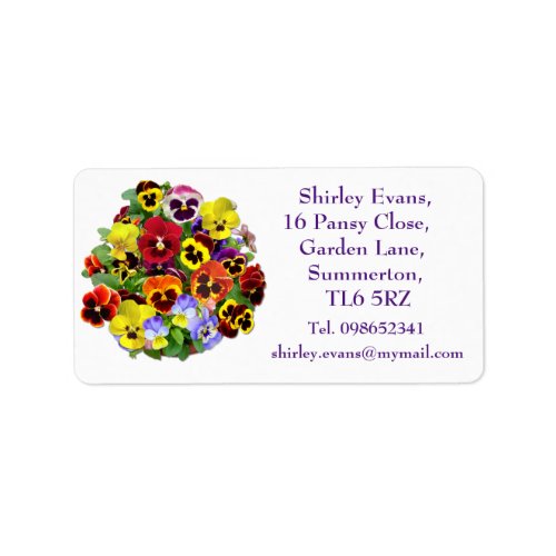 Colourful Pansy Display Label